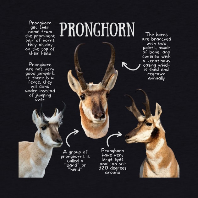 Animal Facts - Pronghorn by Animal Facts and Trivias